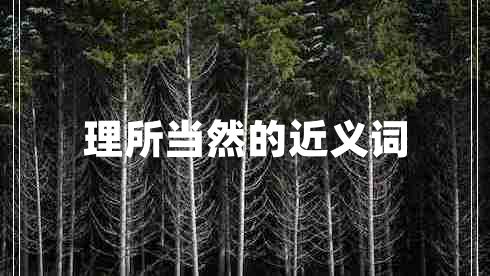 理所當(dāng)然的近義詞