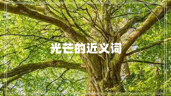 光芒的近義詞