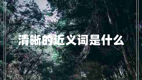清晰的近義詞是什么