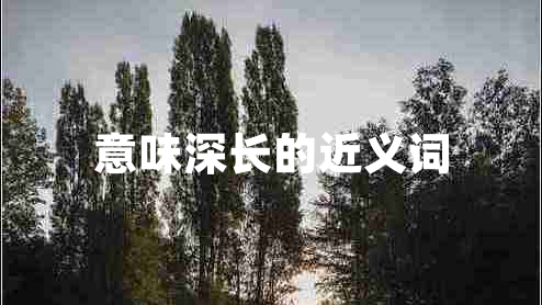 意味深長(zhǎng)的近義詞