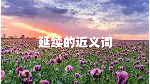延續(xù)的近義詞