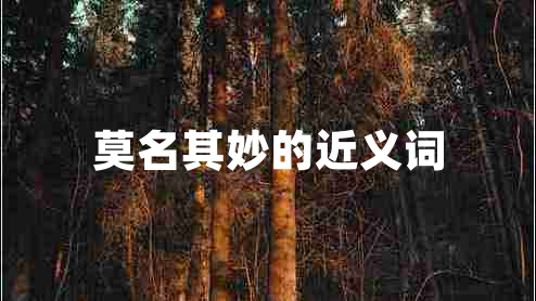 莫名其妙的近義詞