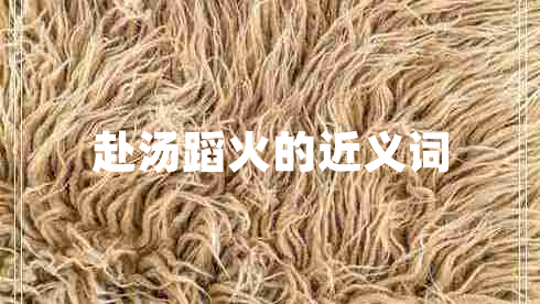 赴湯蹈火的近義詞