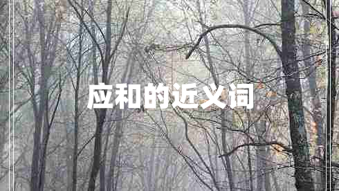 應和的近義詞