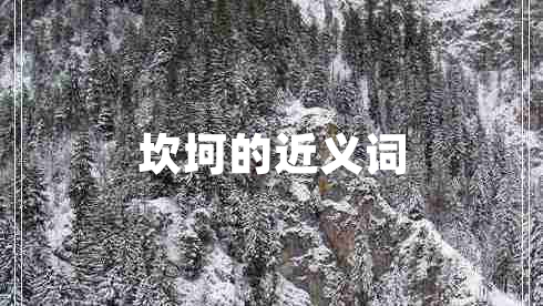 坎坷的近義詞 坎坷的近義詞