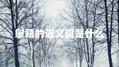 慰藉的近義詞是什么