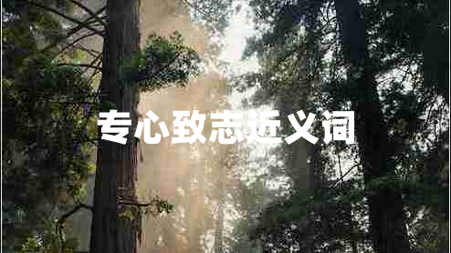 專心致志近義詞