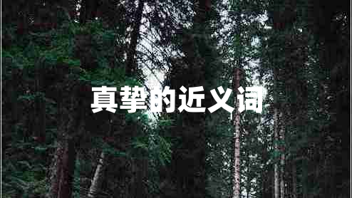 真摯的近義詞