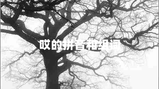 哎的拼音和組詞