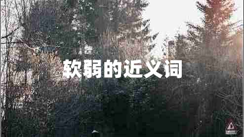軟弱的近義詞