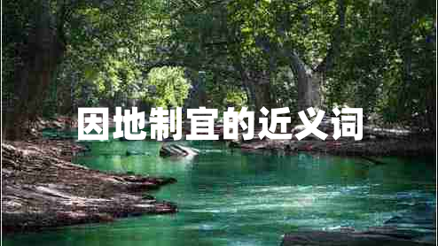 因地制宜的近義詞