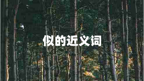 似的近義詞