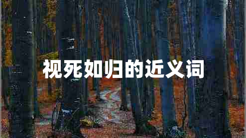 視死如歸的近義詞