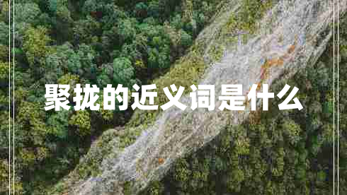 聚攏的近義詞是什么