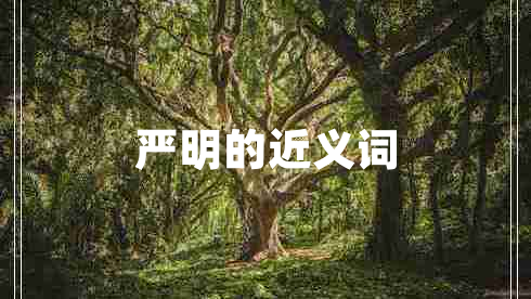 嚴(yán)明的近義詞