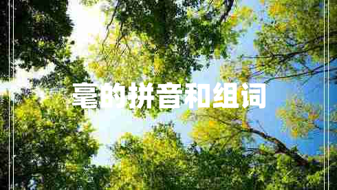 毫的拼音和組詞