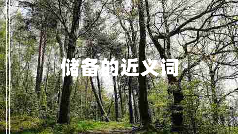 儲(chǔ)備的近義詞