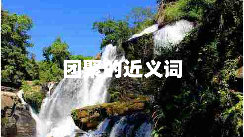 團(tuán)聚的近義詞