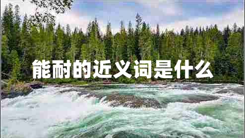 能耐的近義詞是什么