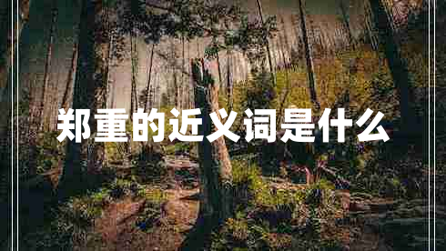 鄭重的近義詞是什么