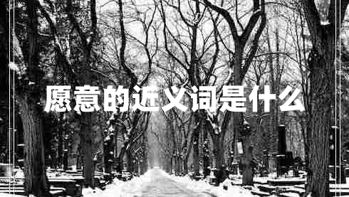 愿意的近義詞是什么