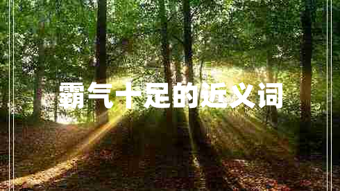 霸氣十足的近義詞