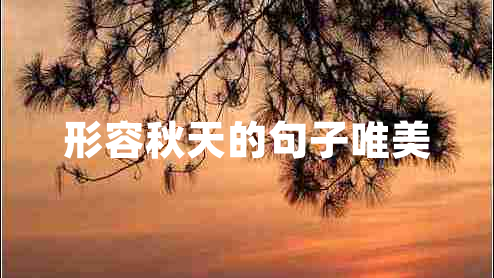 形容秋天的句子唯美 形容秋天的句子唯美