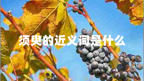 須臾的近義詞是什么