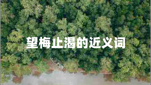 望梅止渴的近義詞