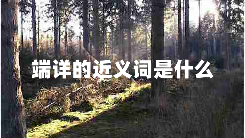 端詳?shù)慕x詞是什么