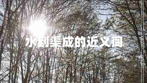 水到渠成的近義詞