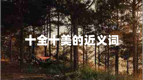 十全十美的近義詞