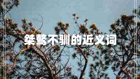 桀驁不馴的近義詞