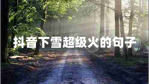 抖音下雪超級火的句子