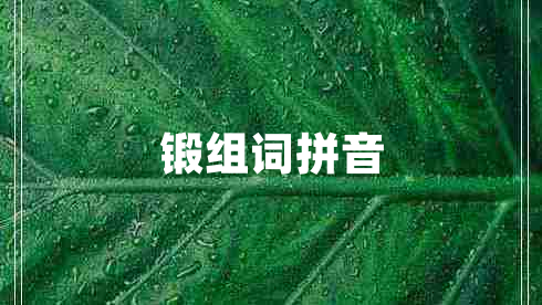鍛組詞拼音