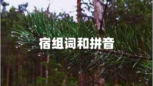 宿組詞和拼音