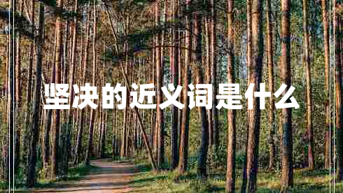 堅決的近義詞是什么