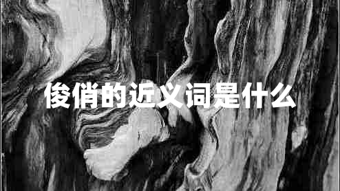 俊俏的近義詞是什么