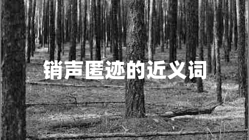 銷聲匿跡的近義詞