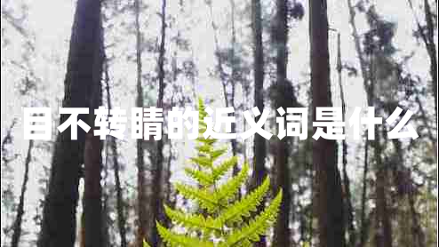 目不轉(zhuǎn)睛的近義詞是什么