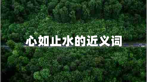 心如止水的近義詞
