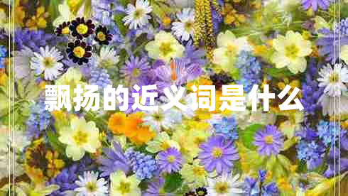 飄揚的近義詞是什么