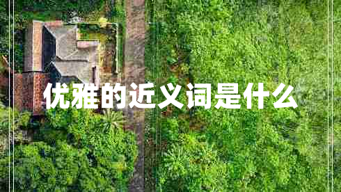 優(yōu)雅的近義詞是什么