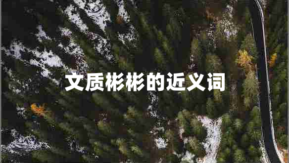 文質(zhì)彬彬的近義詞