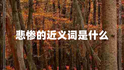 悲慘的近義詞是什么