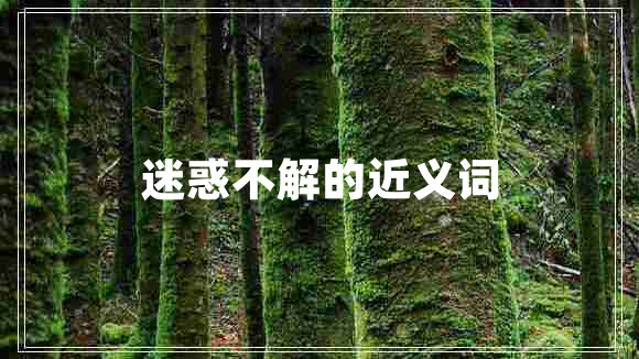 迷惑不解的近義詞