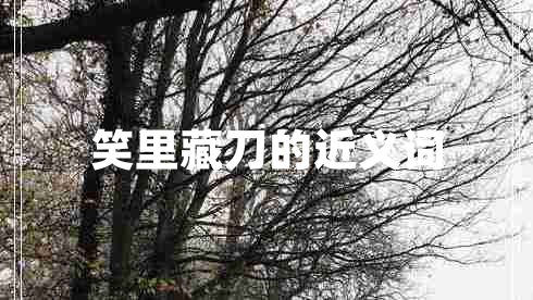 笑里藏刀的近義詞