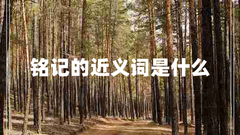 銘記的近義詞是什么