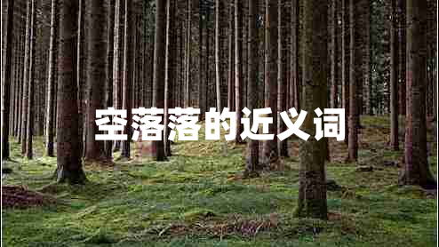 空落落的近義詞