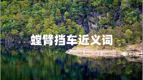 螳臂擋車近義詞